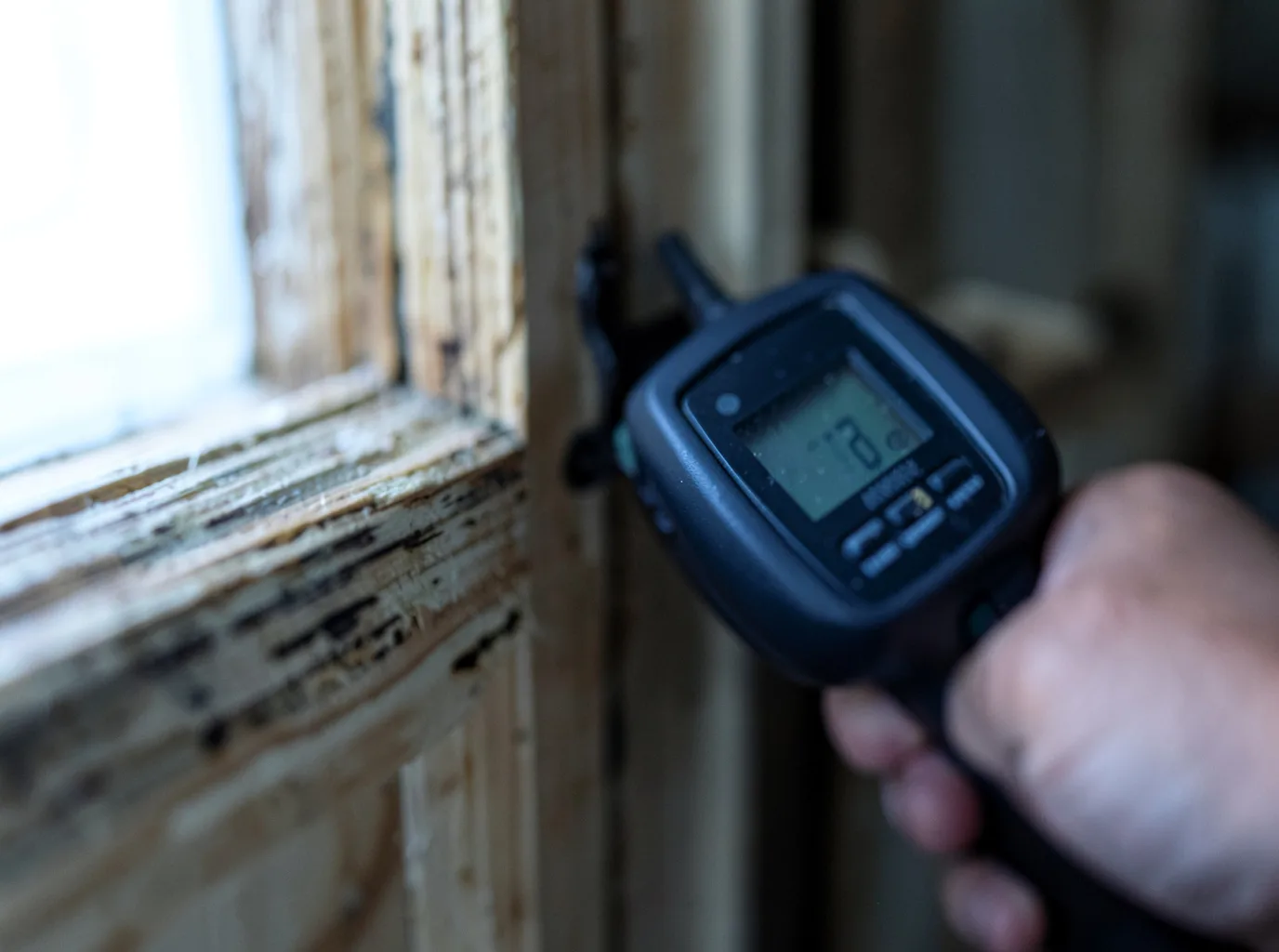 Commercial Water Damage Restoration in Abington, MA